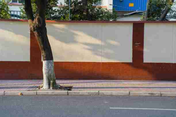 男女主化学反应拉满的《人间中毒》全网最详细剧情解说+推荐观看方式